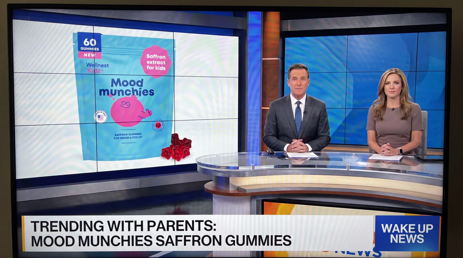 Wellnest Kidz featured on a news broadcast